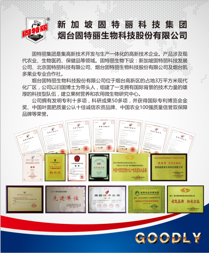 公司简介.png 公司简介.png